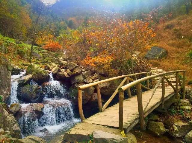 全民剧本大师内置菜单